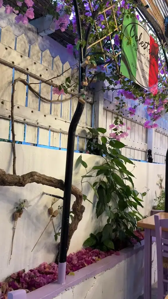 Celestino_Gáïos_slider_image_2