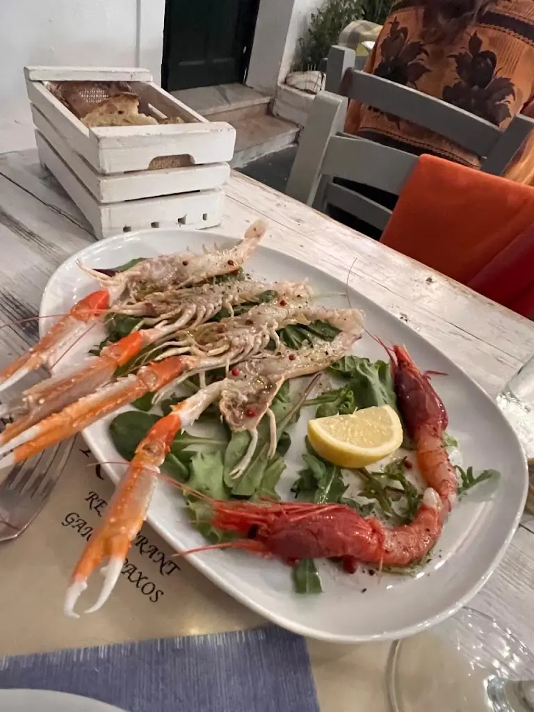 Ioannis Damigos_KOuzini_Gáïos_Bewertung