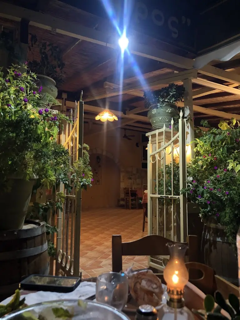 Taverna - Grill Room Spiros_Kynopiástes_slider_image_1