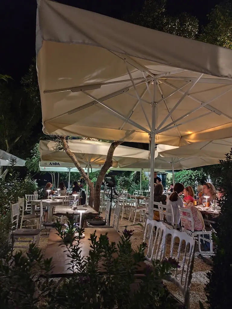 Zuza Stecko_Mikri Garitsa_Kynopiástes_Bewertung