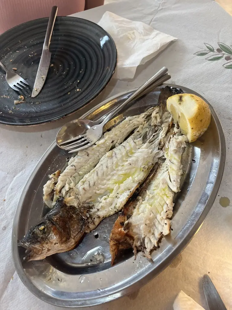 Daniel Paul_Fish Taverna Gerekos_Kontokáli_Bewertung