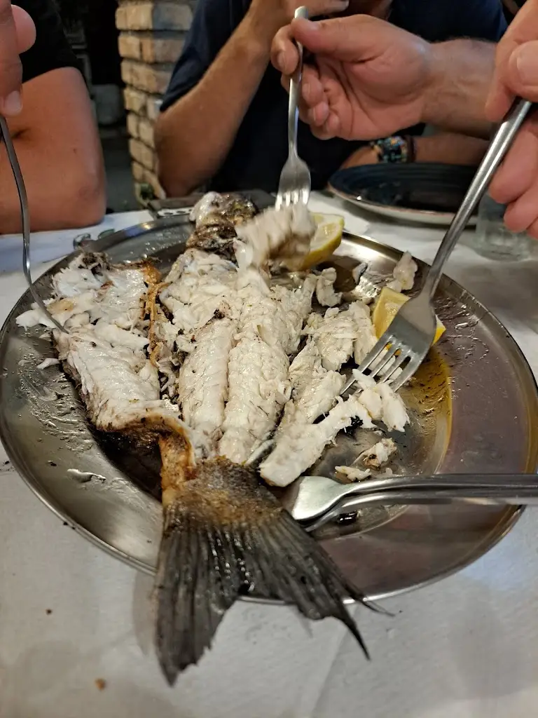 tomer priel_Fish Taverna Gerekos_Kontokáli_Bewertung