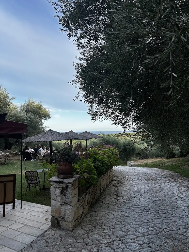 N. Y._Zefki Leeda's Slow Living_Lithakiá_avis