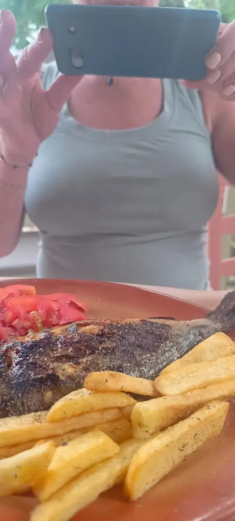 Napoleon Elias Papandreou_Ladókolla_Lefkímmi_Bewertung