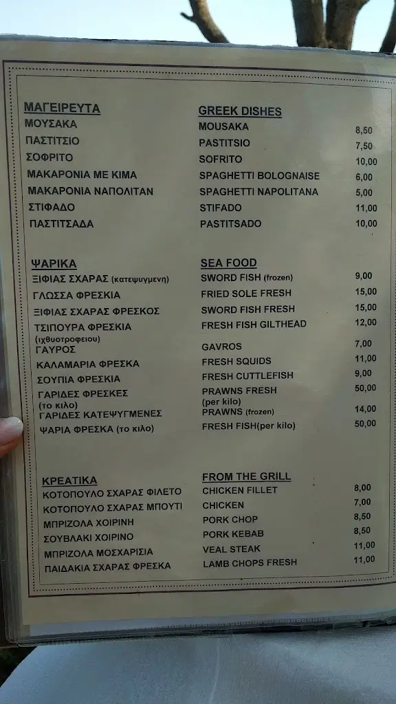 Menü_SAVVAS TAVERNA-BAR_Lefkímmi_Bild_4