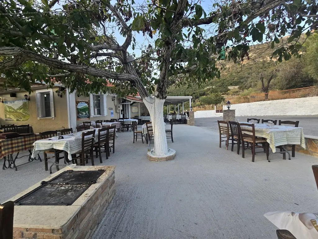 To Pyrgi Grill House Ψησταριά Το Πυργί_Sámi_slider_image_1