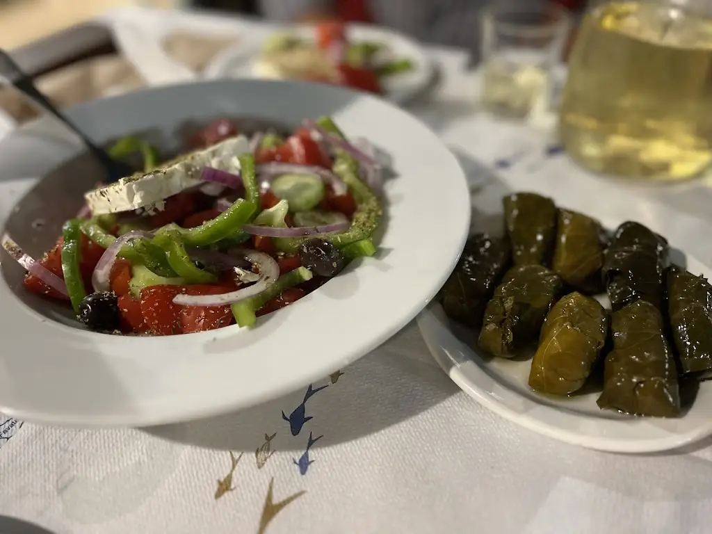 Vladimir Dimitrov_Limanaki Sami_Sámi_recensione