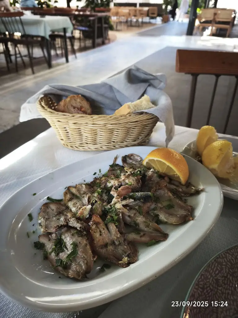 ΤΟ ΚΟΡΑΛΛΙ ΟΥΖΕΡΙ - ΤΑΒΕΡΝΑ_Karditsomagoúla_slider_image_2