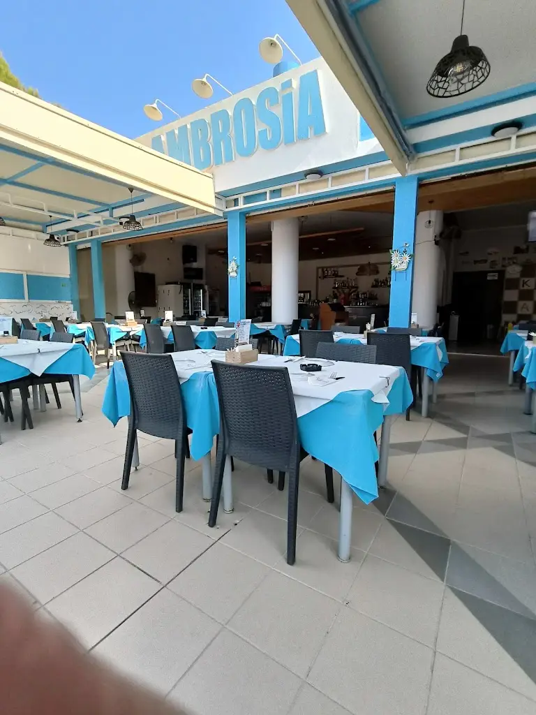 TravelWithPuzz_Ambrosia_Mouzáki_Bewertung