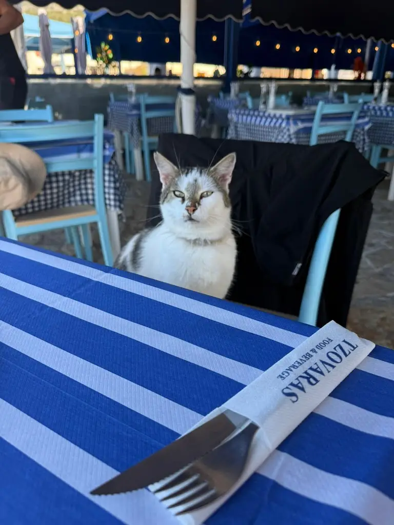 erald mihasi_Georgeos Family_Mavrommáti_review