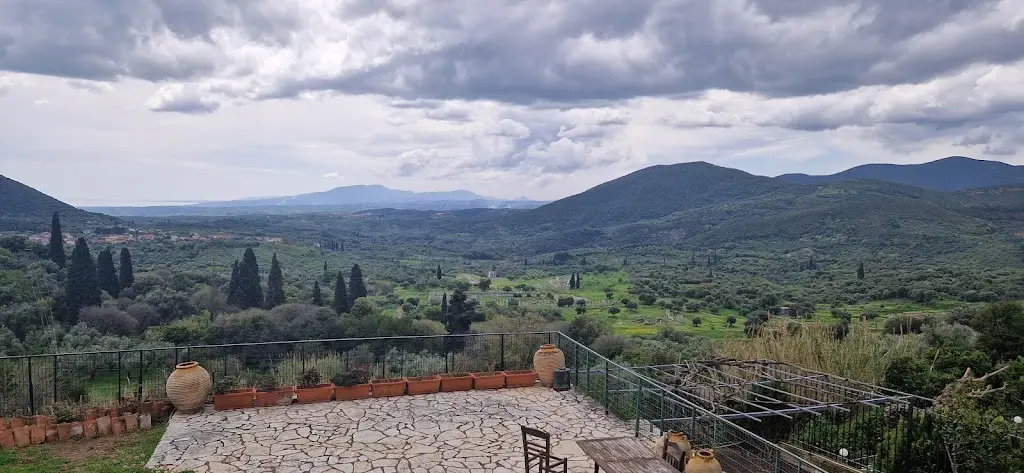 Tom (Bozz)_Restaurant - Tavern - Cafeteria - Ithomi_Mavrommáti_reseña