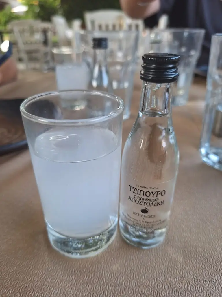 Tudor Marchidan_To Agionero - Meze & Tsipouro | Το Αγιόνερο - Μεζεδοπωλείο_Káto Lekhónia_recensione