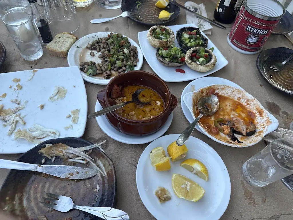 Dimitris Petridis_To Agionero - Meze & Tsipouro | Το Αγιόνερο - Μεζεδοπωλείο_Káto Lekhónia_recensione