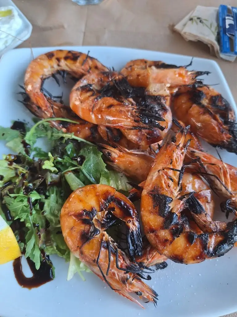 Tudor Marchidan_Σαγανης Μαγειρείο Ψητοπωλείο_Káto Lekhónia_Bewertung