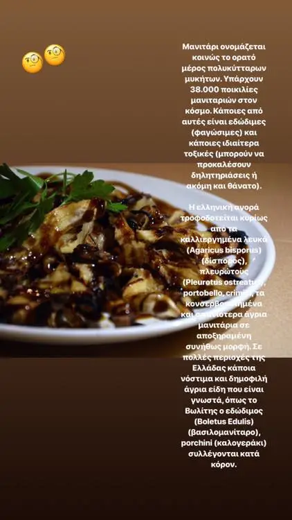 Menu_Eliá_Almyrós_imagen_1