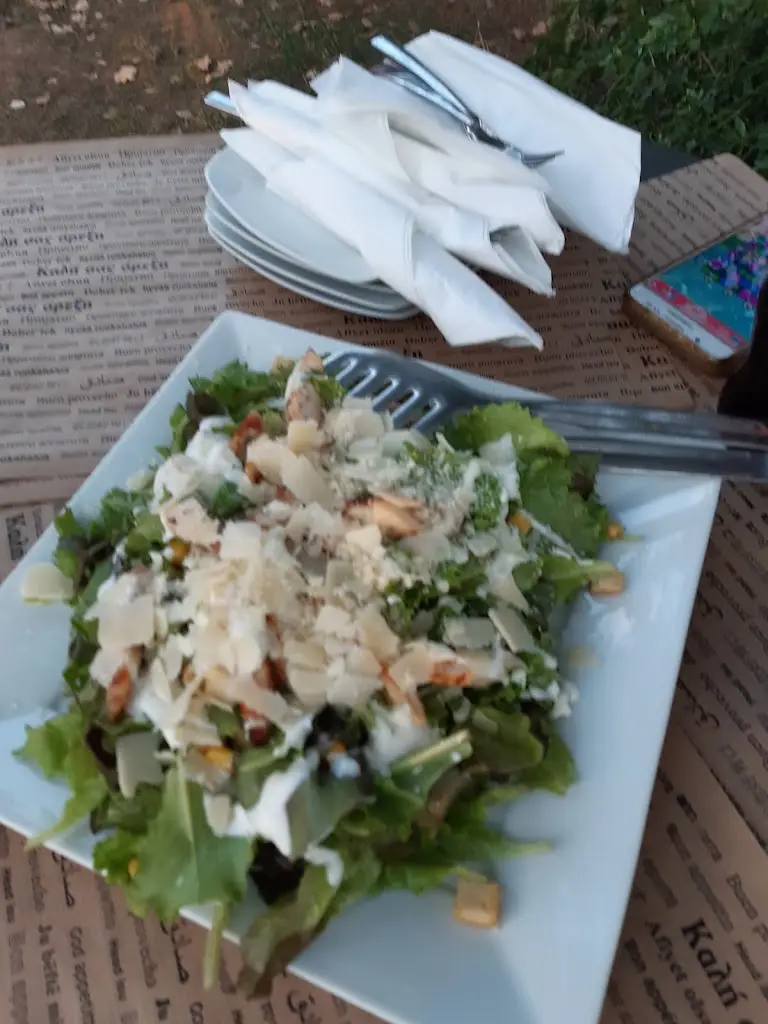 Menu_To ksylino_Almyrós_immagine_3