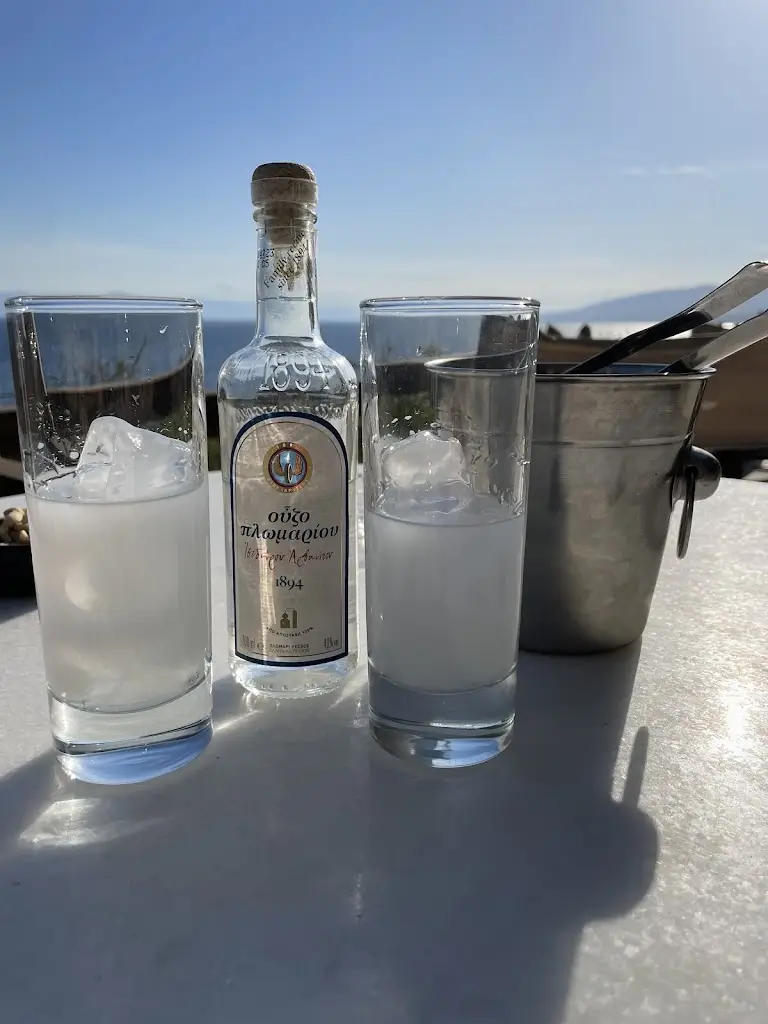 Miertje Miertje_Skiron Restaurant by Hotel Cokkinis_Kinéta_review