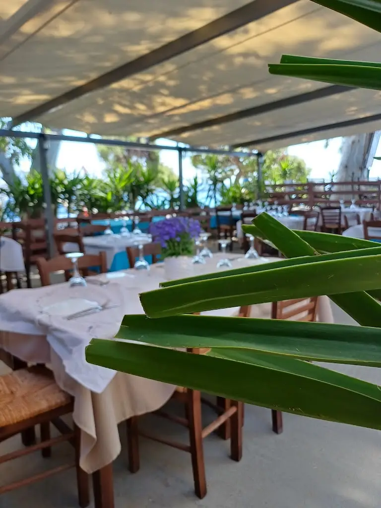 Μπλε κοχυλι_Kinéta_slider_image_1