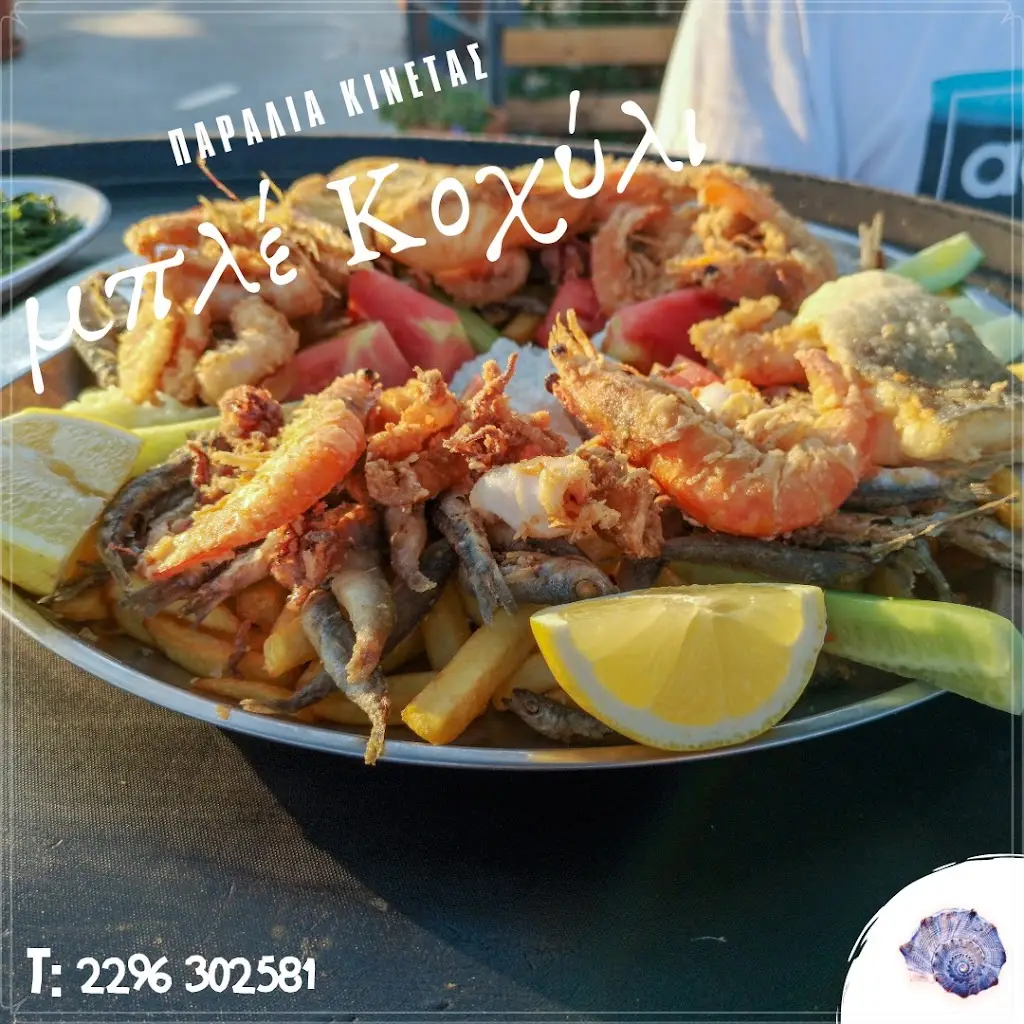 Μπλε κοχυλι_Kinéta_slider_image_2