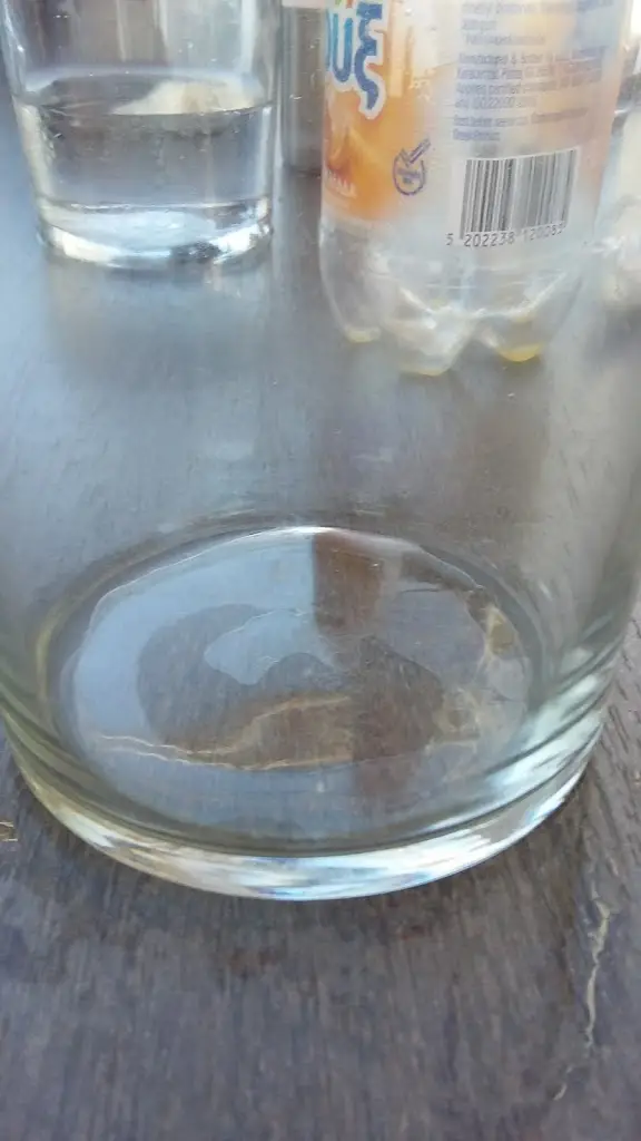 Menu_Loubier Summer Club_Kinéta_image_6