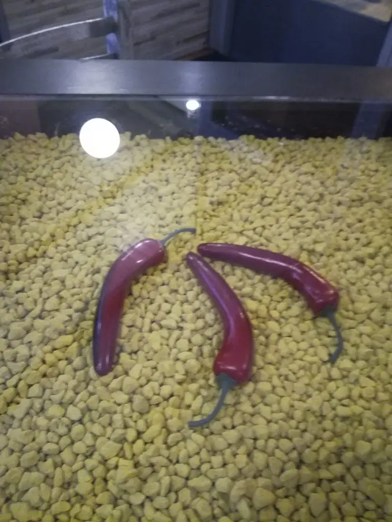 Menu_Μαυροπίπερο_Agios Dimitrios_image_4