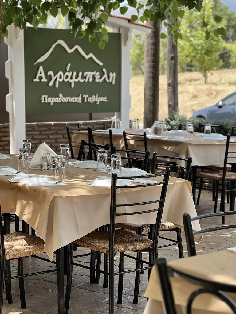 Αγράμπελη - Παραδοσιακή Ταβέρνα Restaurant in Kryonéri