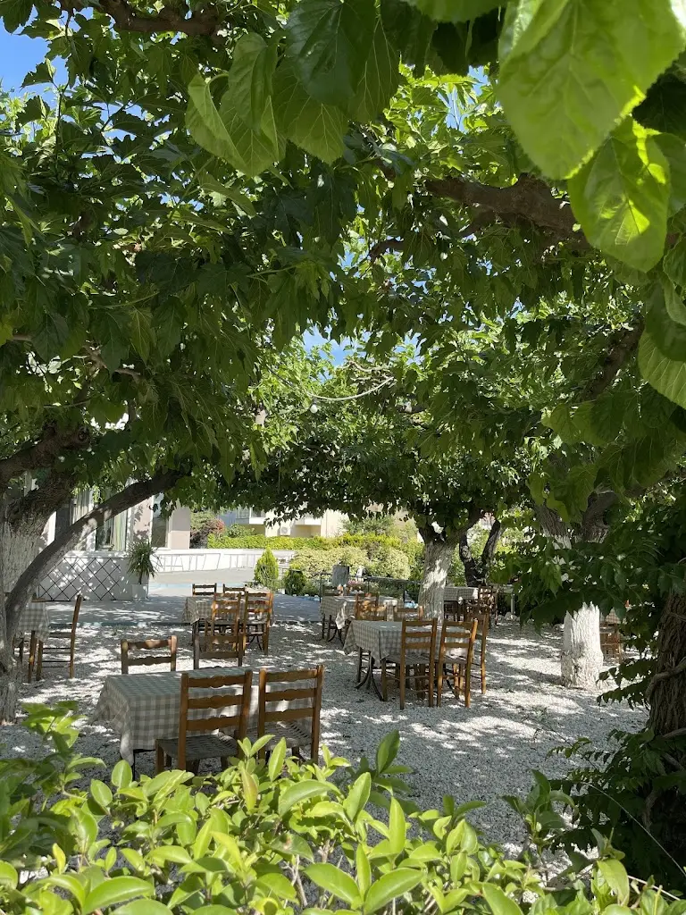 Μουριές_Kryonéri_slider_image_3