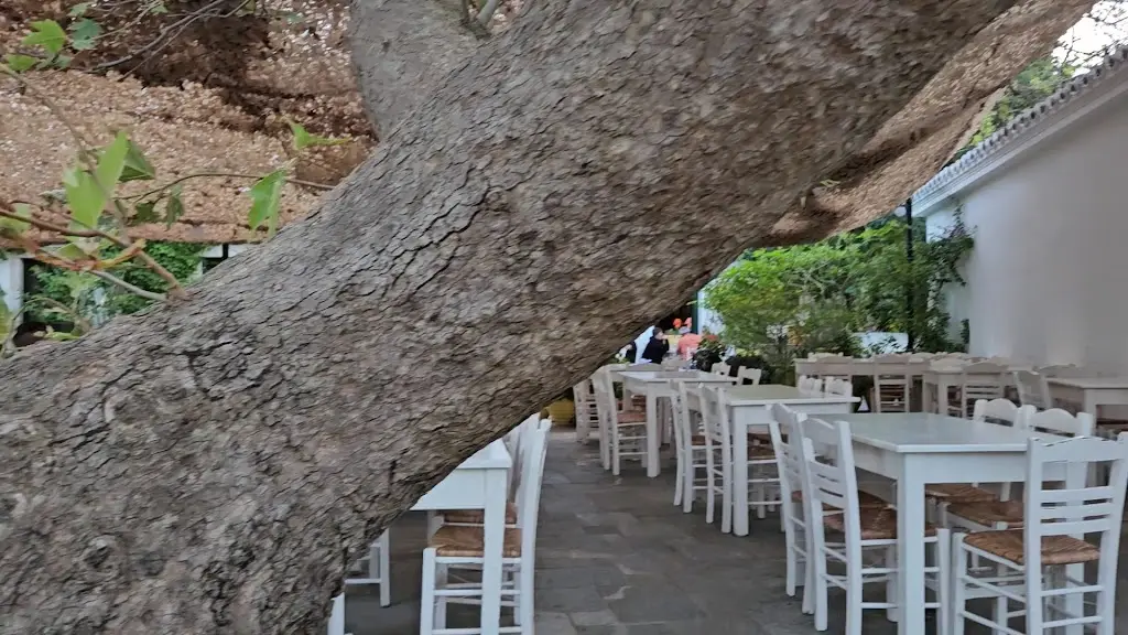 ΠΛΑΤΑΝΟΣ | Ταβέρνα - Παραδοσιακό καφενείο_Kýthira_slider_image_2