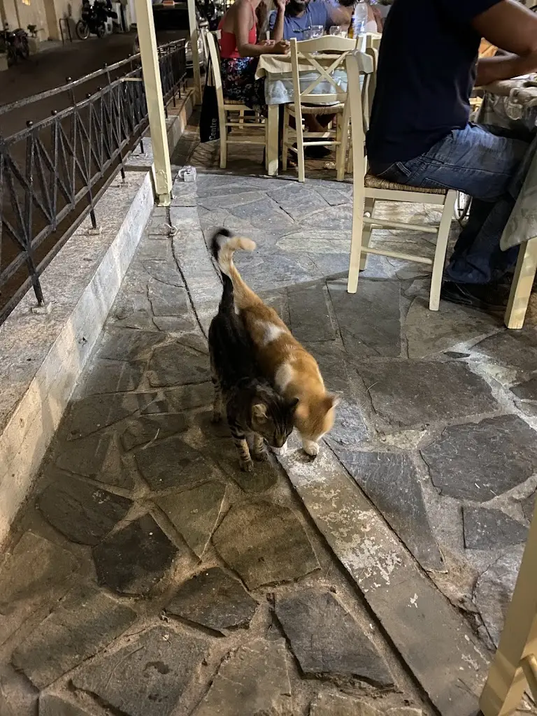 Demetrios Karamintzas_Panaretos Restaurant_Kýthira_Bewertung