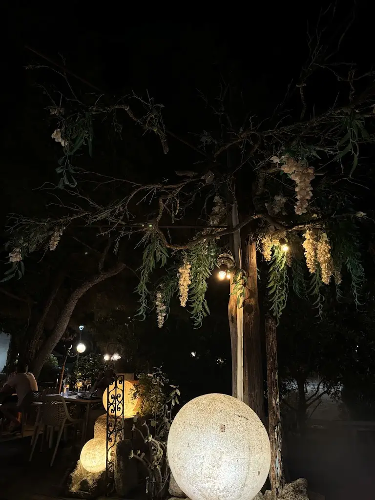 Μελίνα Βλάχου_Familia_Kýthira_Bewertung