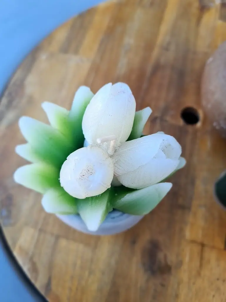 Osnat Tenenbaum_Kamares Multivenue_Kýthira_Bewertung