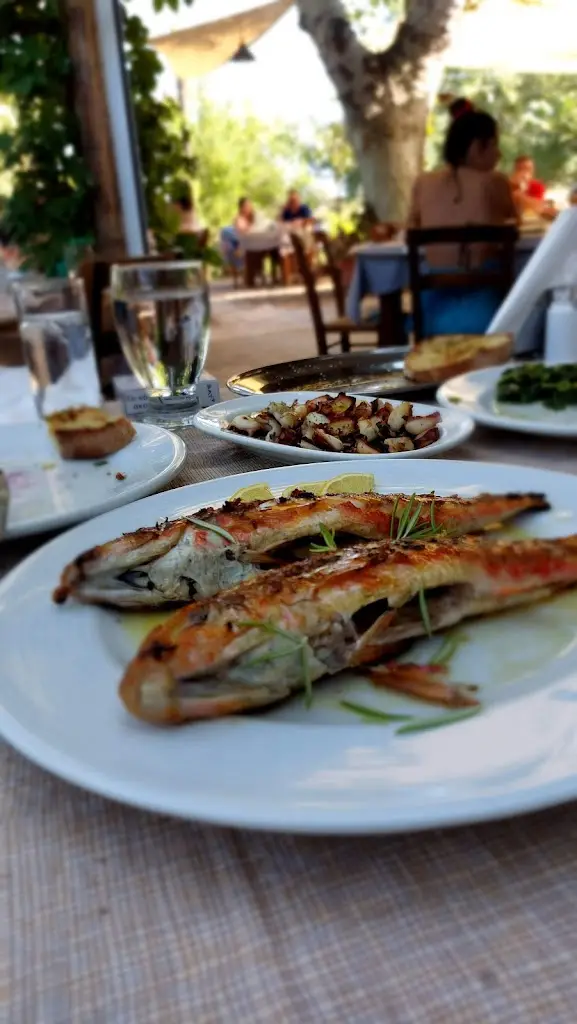 Menu_Skandeia_Kýthira_image_6