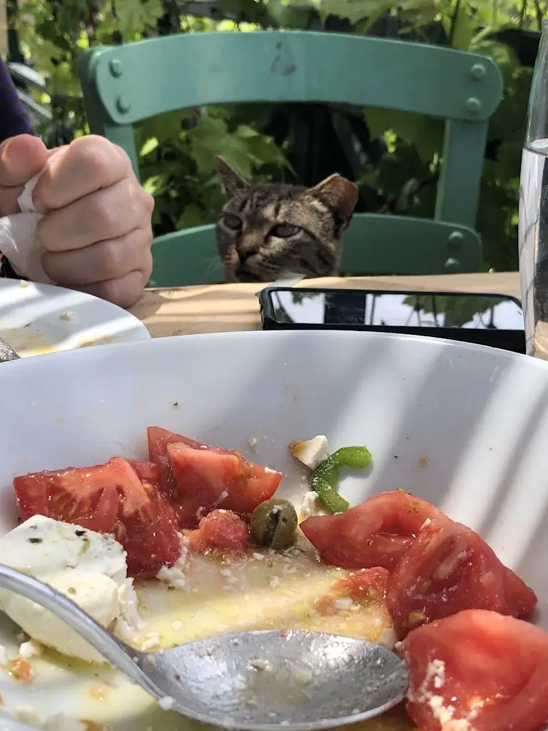 Maryanne Wilson_Lemonokipos_Kýthira_Bewertung