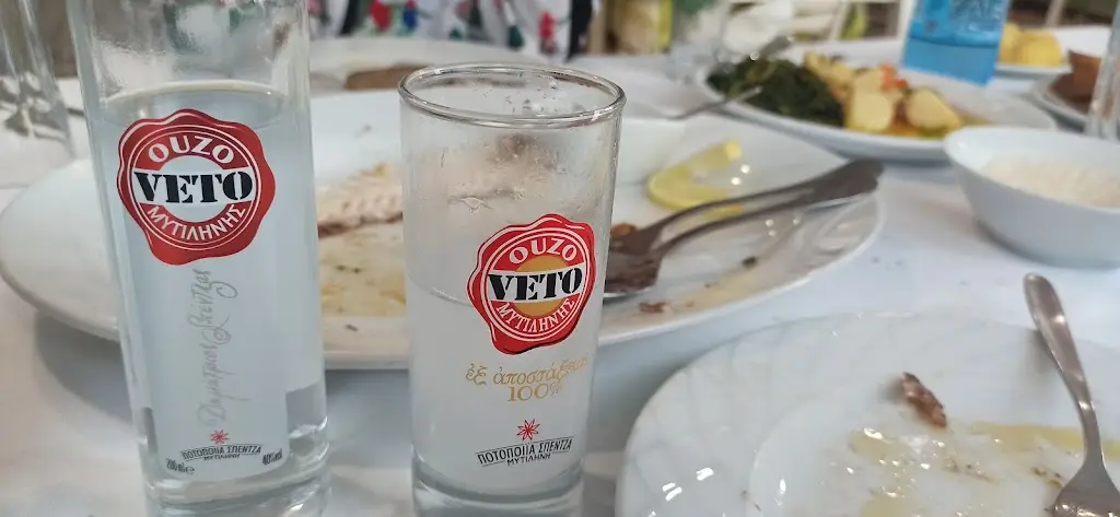 Menü_Logo timis..._Lykóvrysi_Bild_2