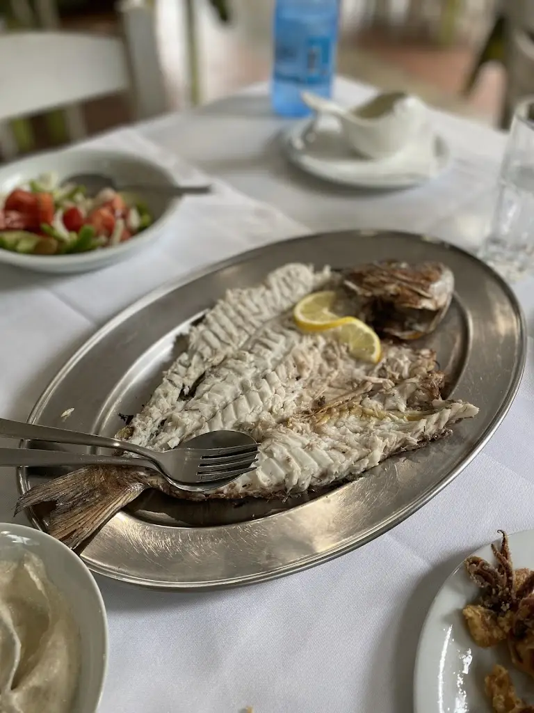 Alena Karovina_Logo timis..._Lykóvrysi_Bewertung