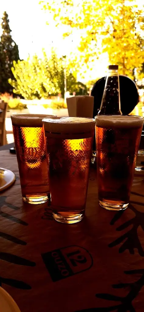 Antonios Radiotopoulos_Kedros Athens_Lykóvrysi_recensione