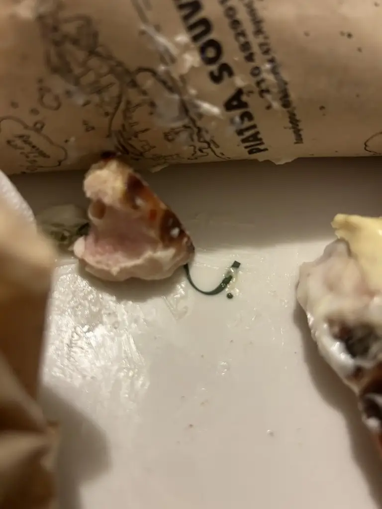 Menü_PIATSA SOYVLAKI_Agios Ioannis Rentis_Bild_9