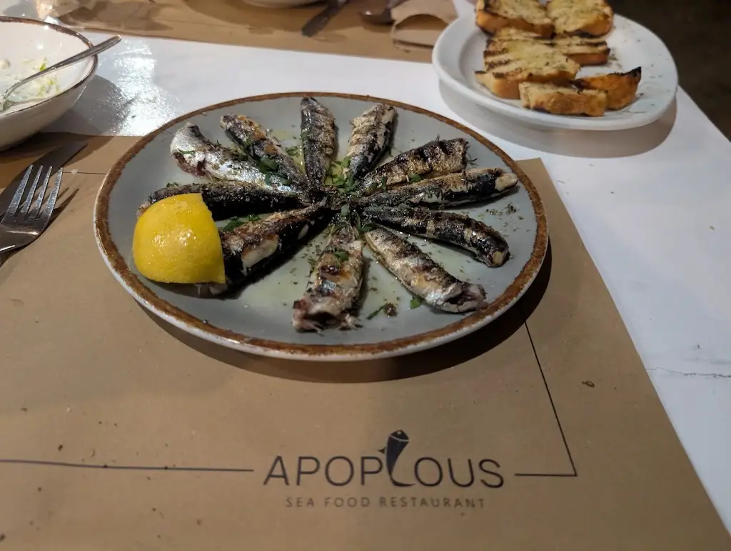 Ron Backal_Apoplous Sxinias_Marathónas_review