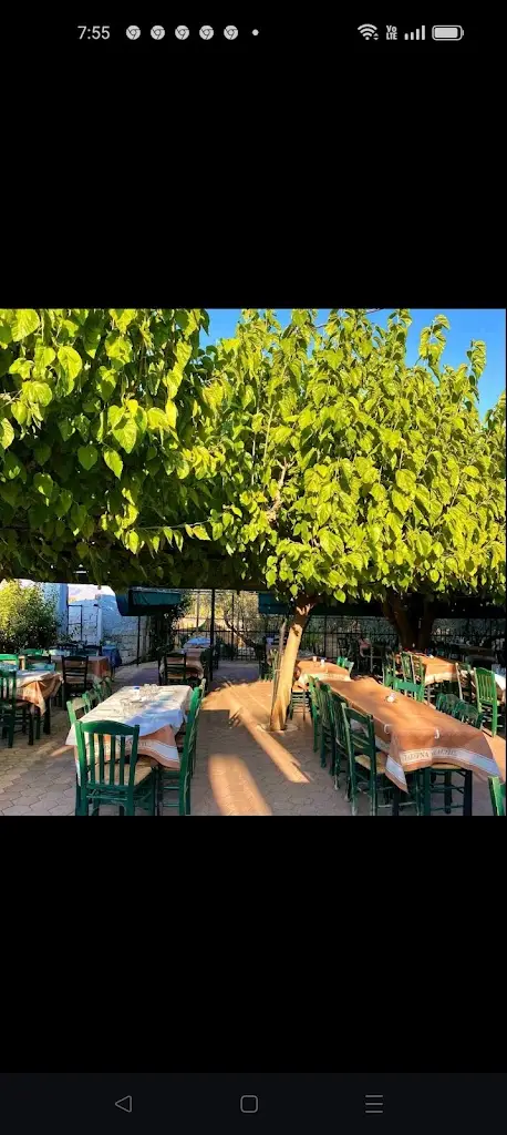 Ψησταριά ο Μελέτης_Mándra_slider_image_3