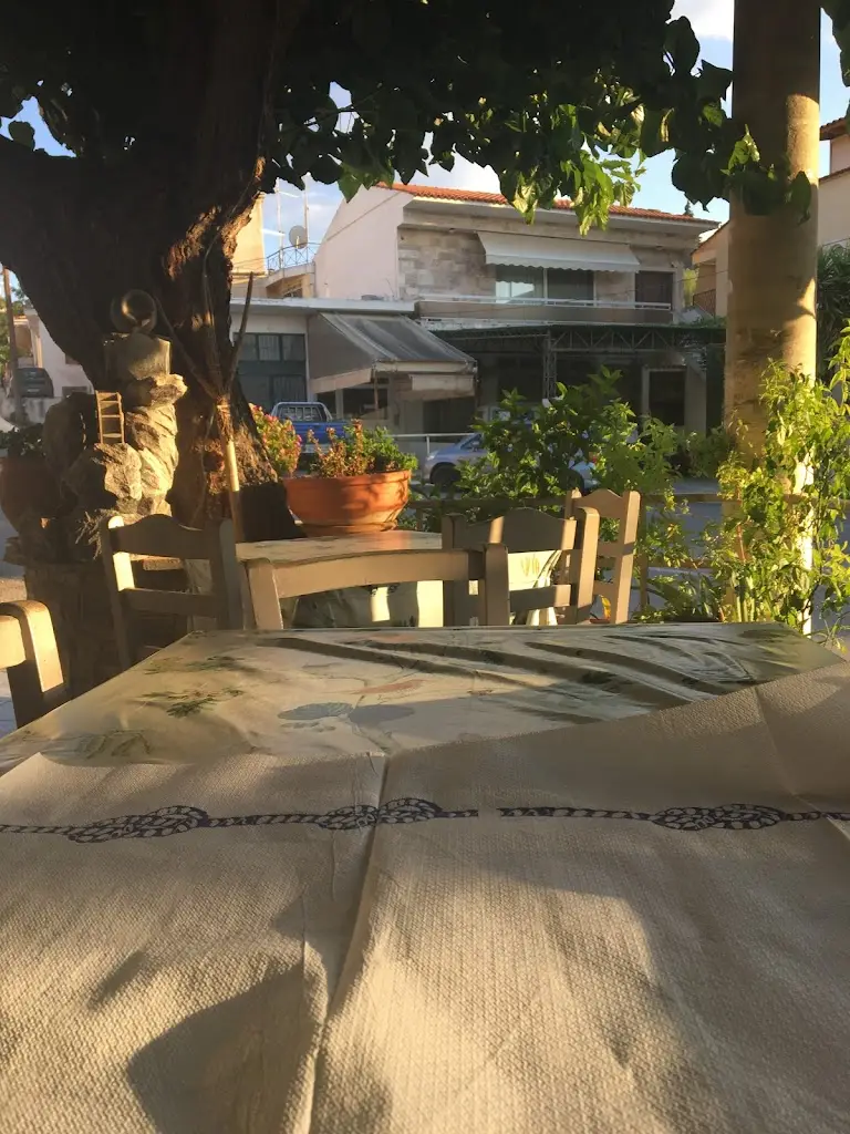 Rodya Troyke_Ταβέρνα ''ΤΣΑΚΩΝΑΣ