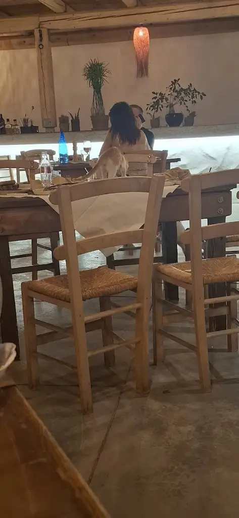 MLI Family_Karantanos Meat Restaurant_Markópoulo Oropoú_Bewertung