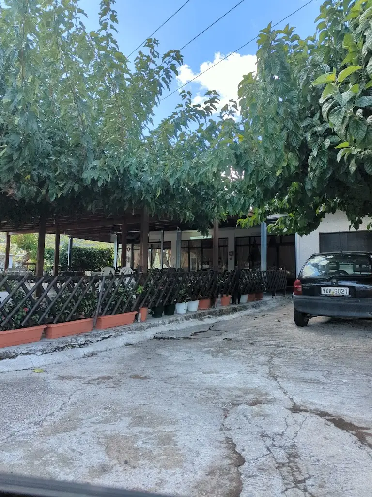 Hui Ling Tan _Ta Mastorakia_Markópoulo Oropoú_review