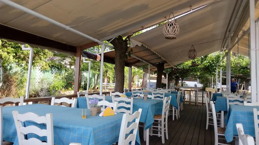 Ταβέρνα Μπάρμπα Ανδρέας Restaurant in Markópoulo Oropoú