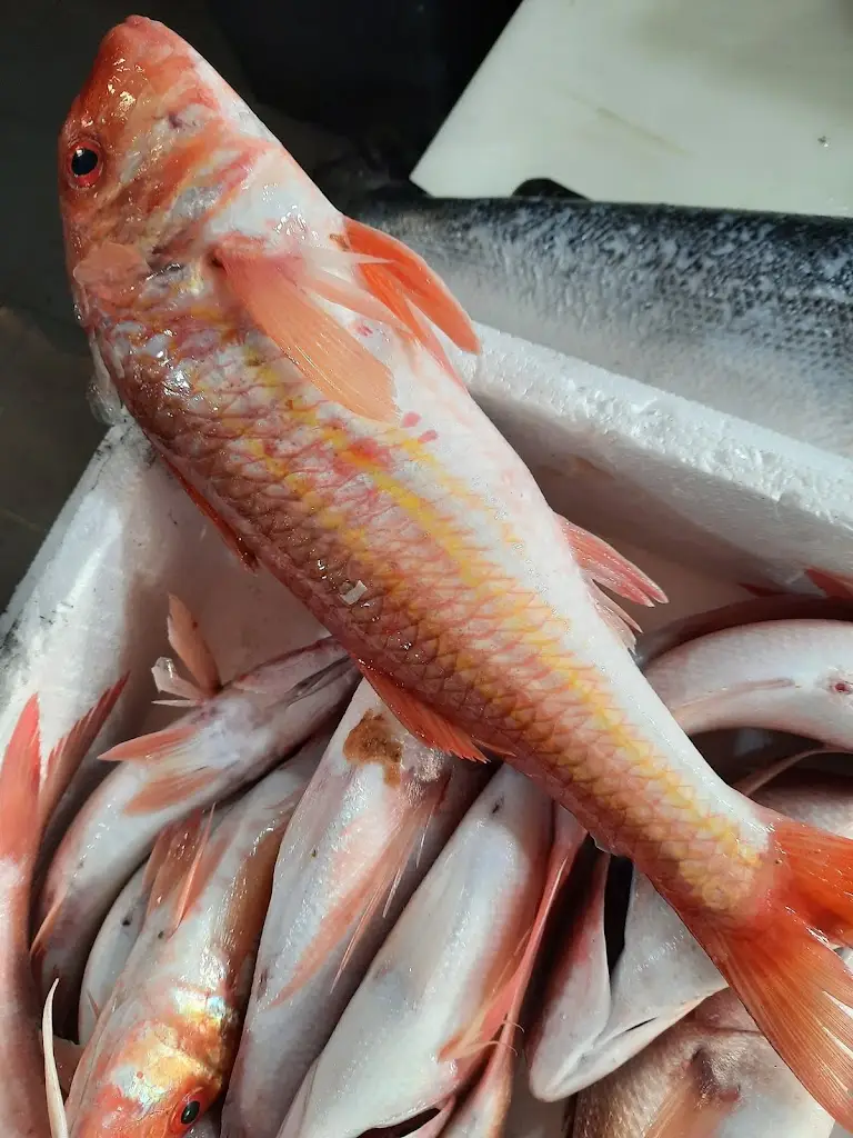 Menu_Ψαρωτικόν - Τσόνης Μεζεδοπωλείο_Markópoulo_image_5