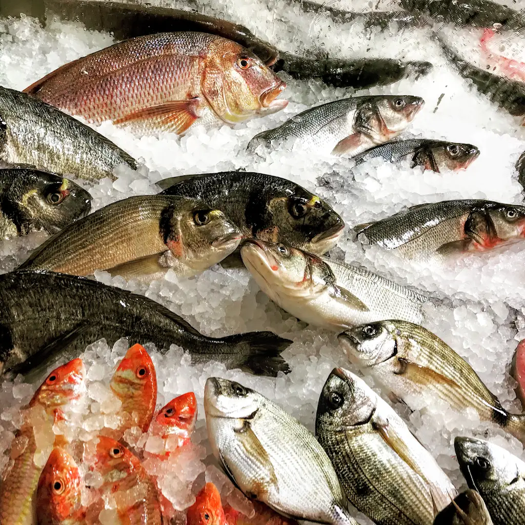 Menu_Ψαρωτικόν - Τσόνης Μεζεδοπωλείο_Markópoulo_image_6