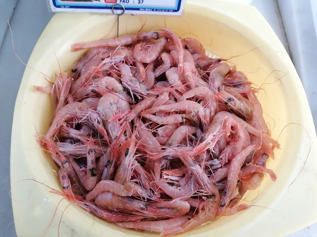 hp. Cathunter_Ψαρωτικόν - Τσόνης Μεζεδοπωλείο_Markópoulo_review