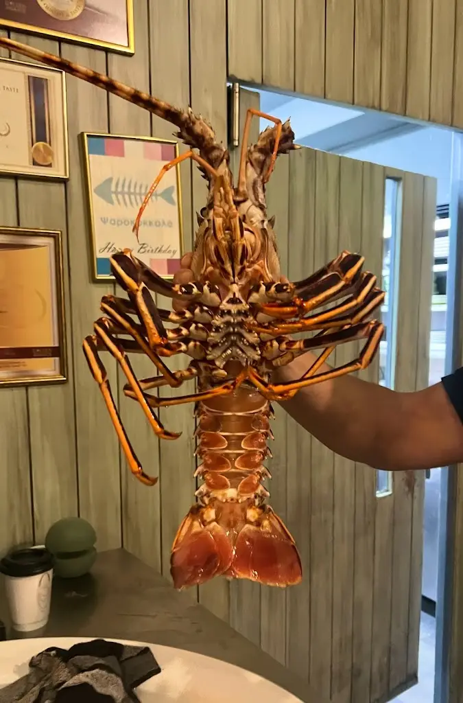 Sophia Hatziantoniou_Psarokókkalo_Melíssia_Bewertung