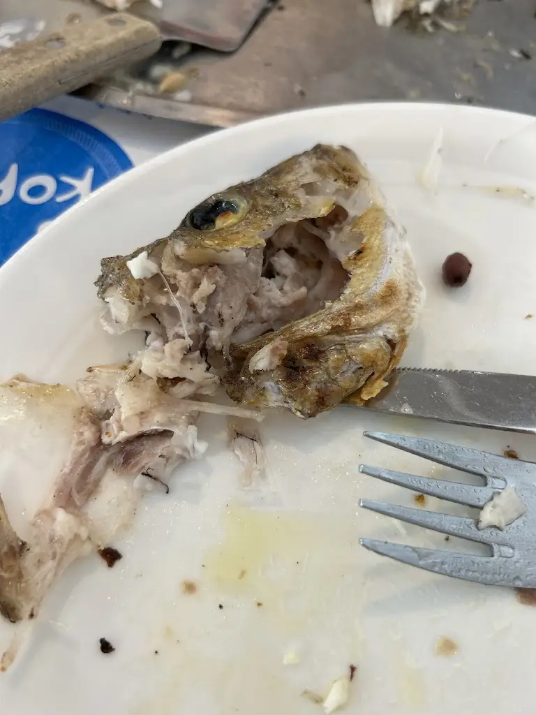 Sharona J Deocampo Hurmuses_The Coral_Néa Erythraía_review