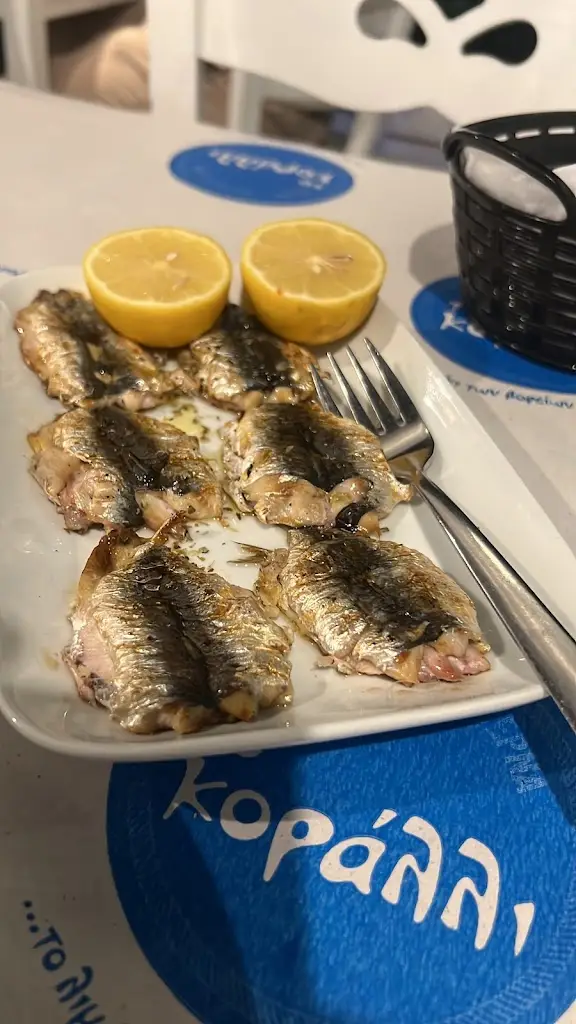 Ralph Mrad_The Coral_Néa Erythraía_review