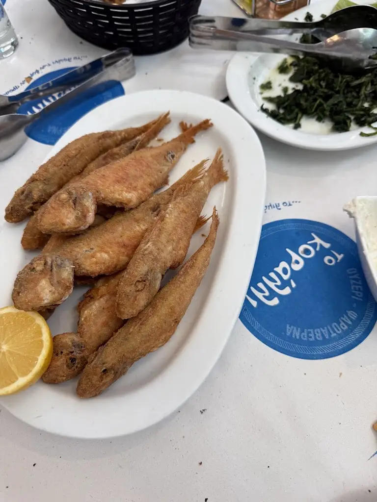 The Coral_Néa Erythraía_slider_image_3